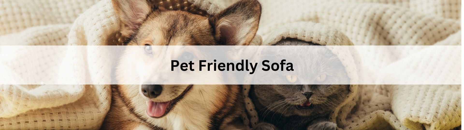 PET FRIENDLY SOFA COLLECTION