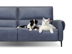pet friendly sofa